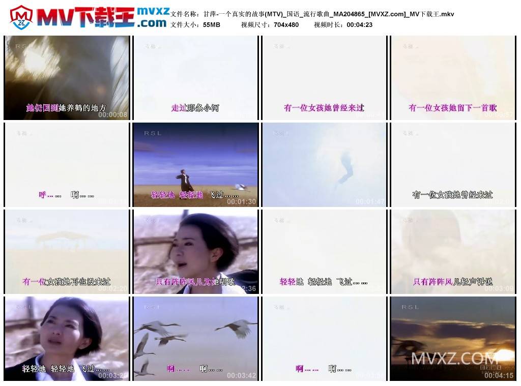 甘萍-一个真实的故事(MTV)_国语_流行歌曲_MA204865